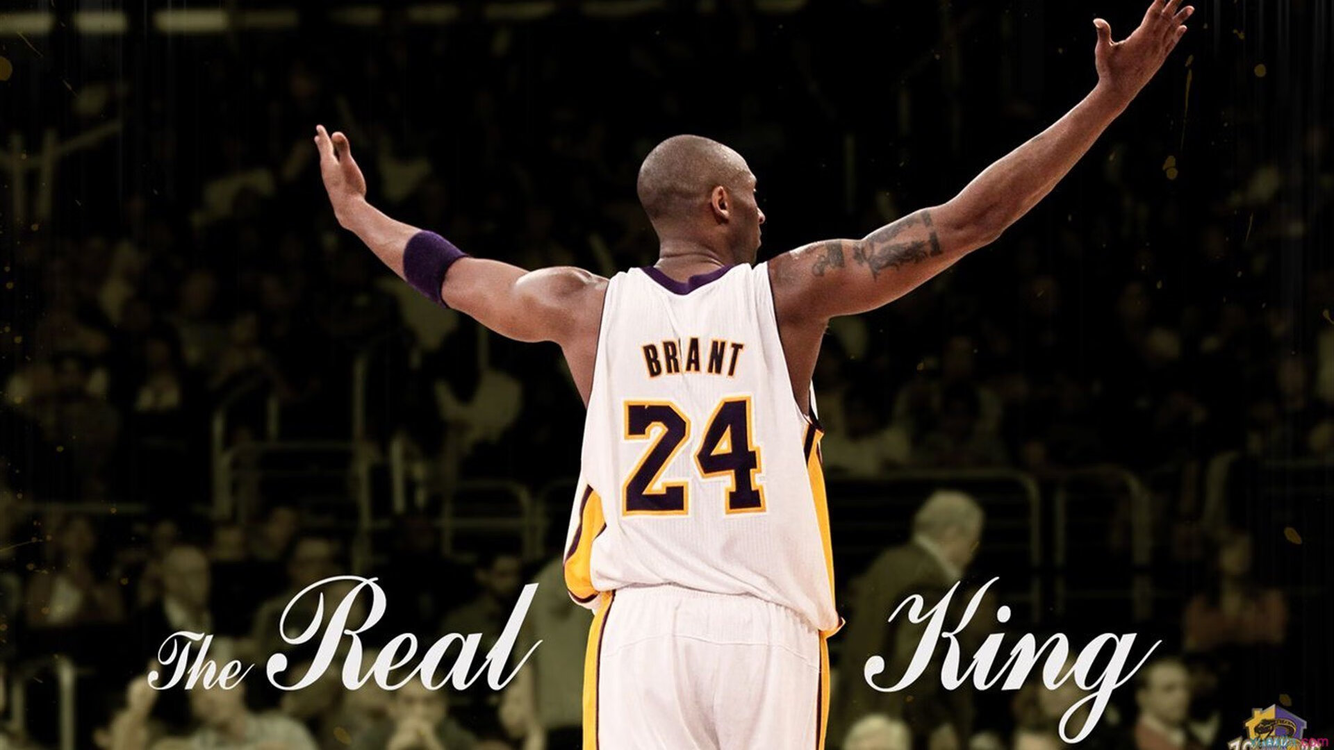 当天山雪豹遇见费城之魂，一场跨越太平洋的篮球哲学对话